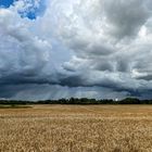 Beeindruckende Wolken, wunderbare Lichtstimmungen..