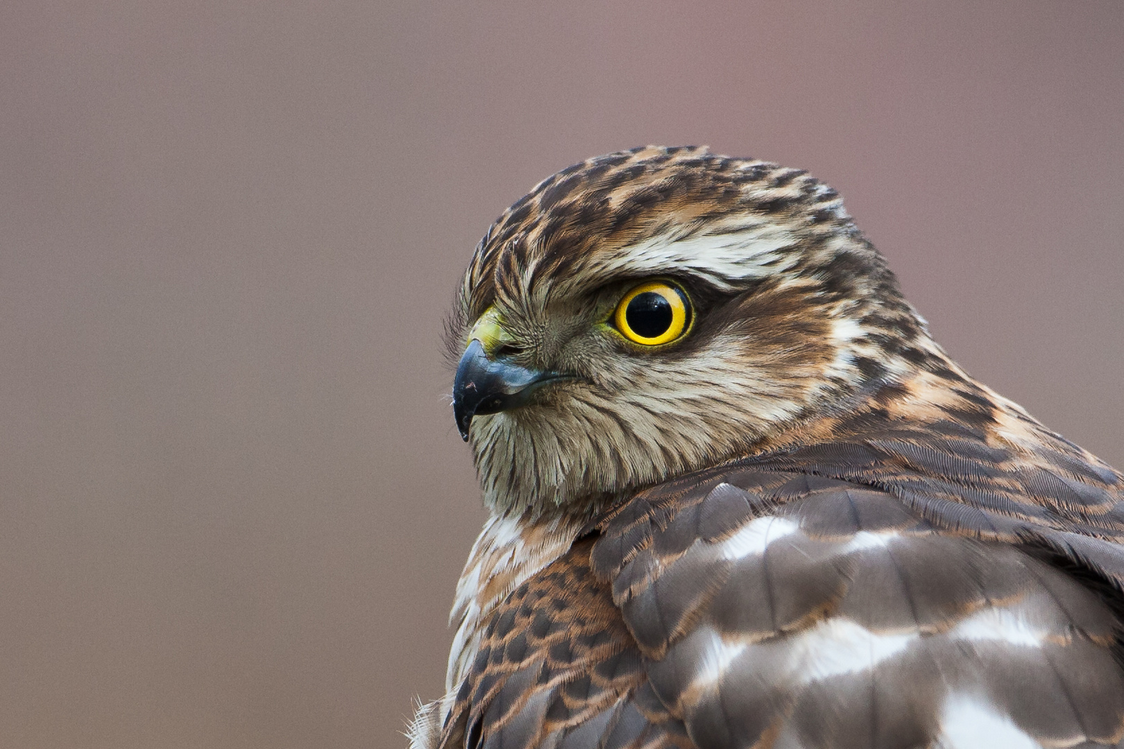 Beeindruckender Blick...