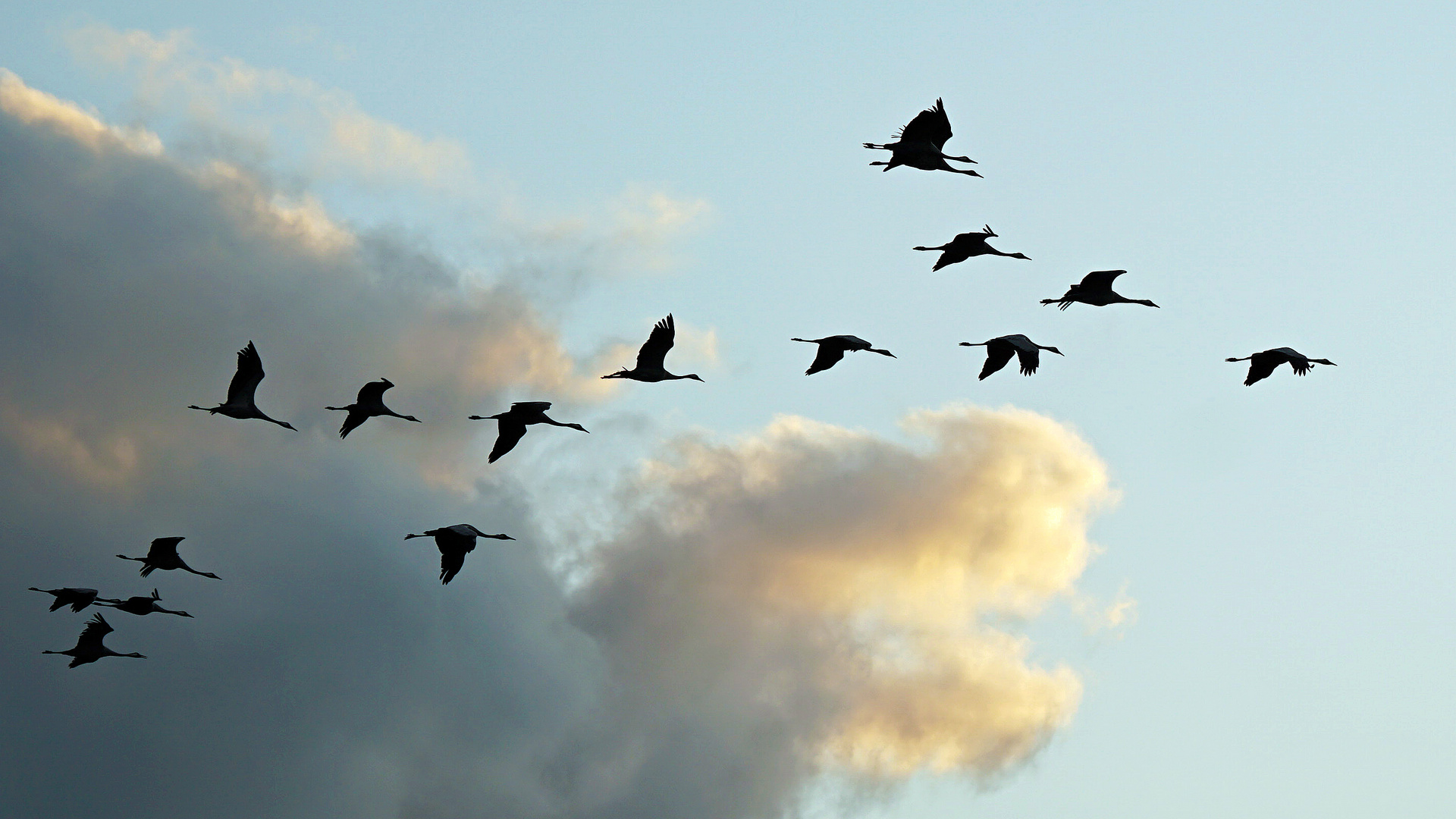 beeindruckender Flug "in den Wolken"