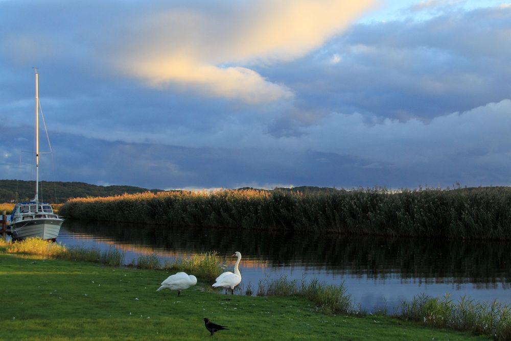 Beek am Abend