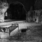 beelitz #2