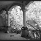 Beelitz #5