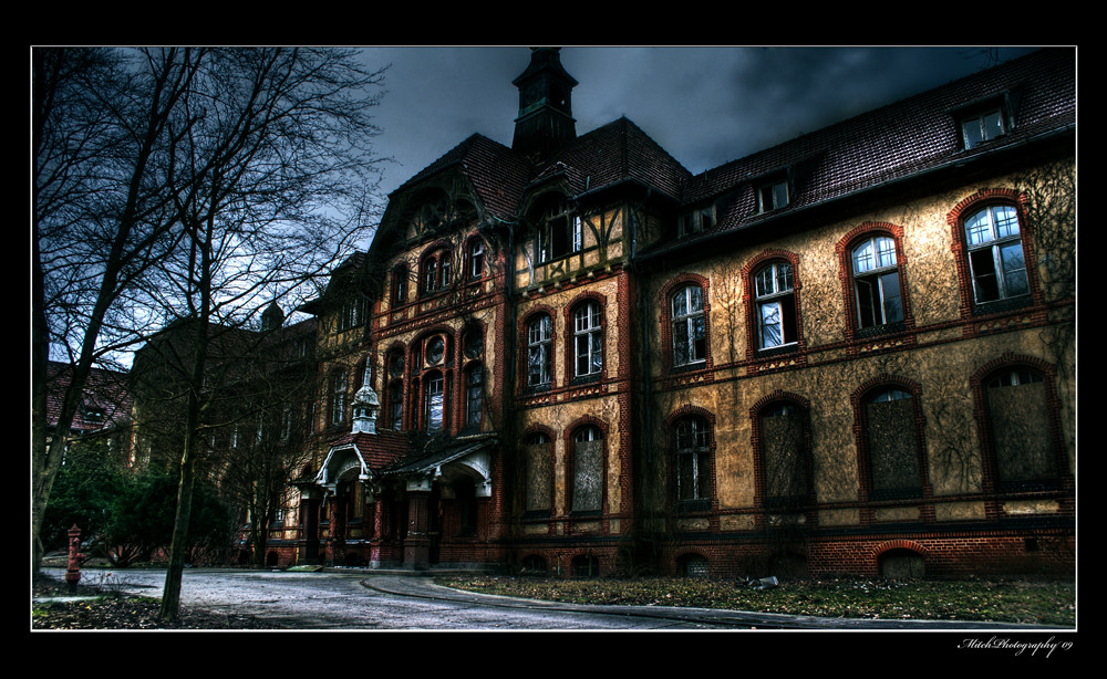 ~Beelitz~ DarkNight