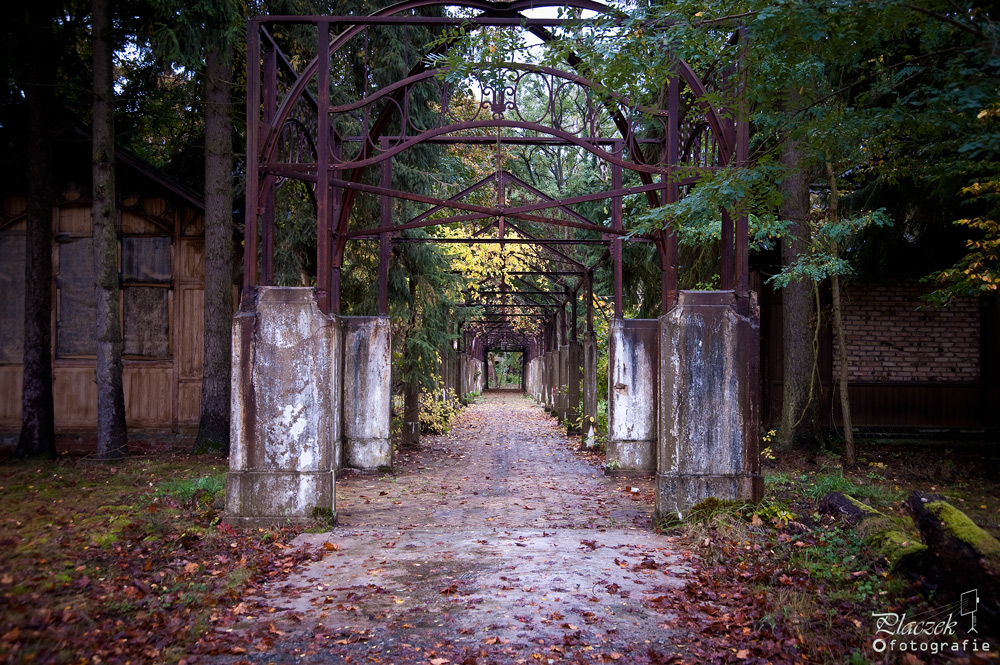 Beelitz Erholungsgang (04/06)