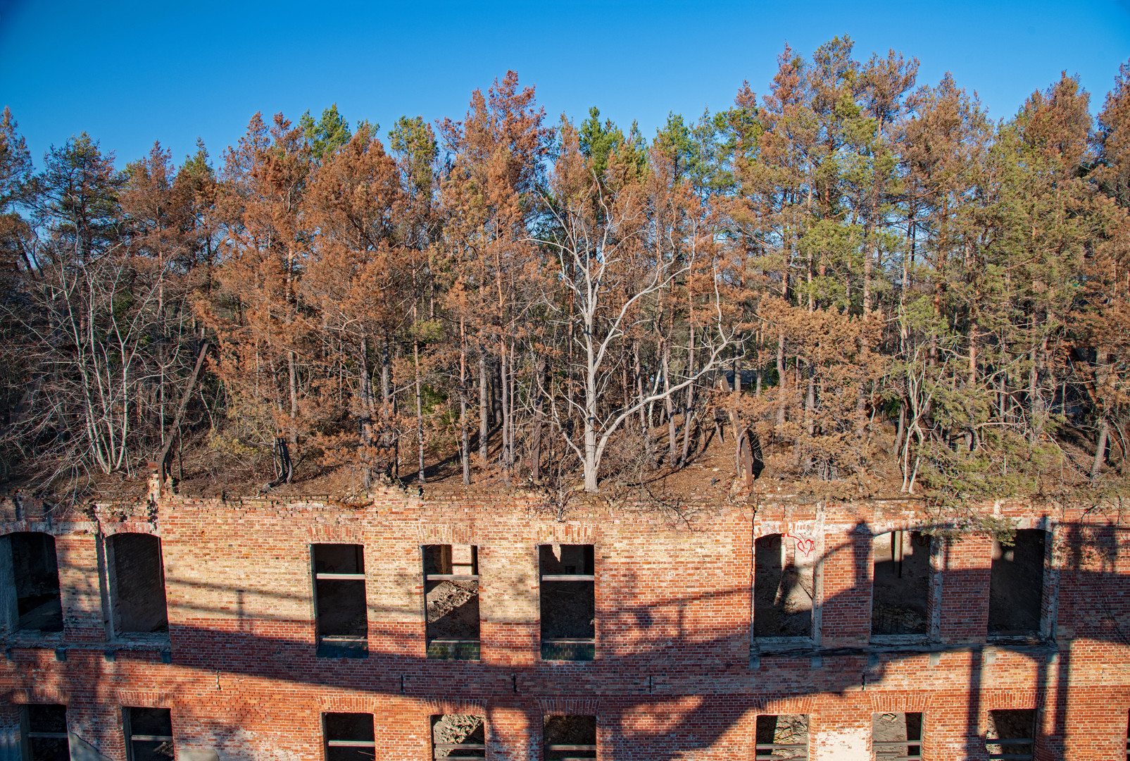 Beelitz Heilstätten