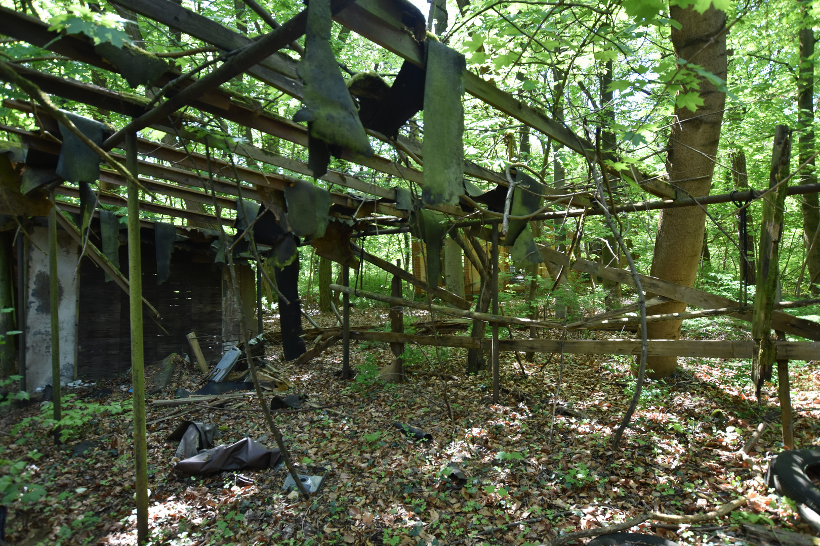 Beelitz Heilstätten (46)