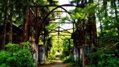 Beelitz Heilstätten #5