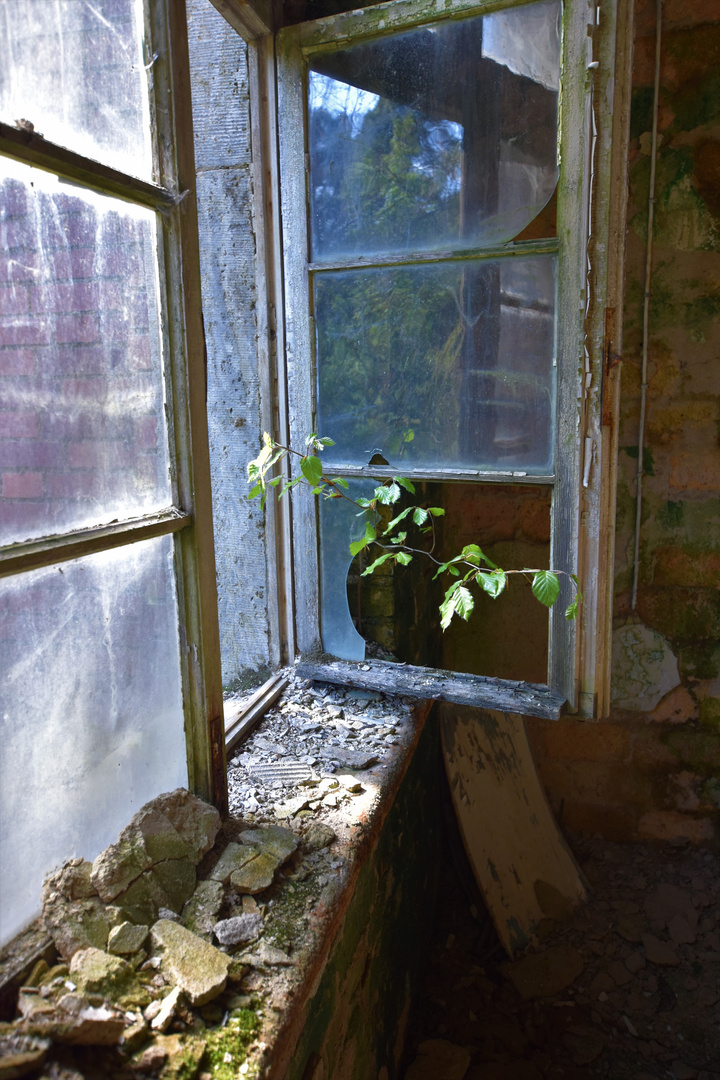 Beelitz Heilstätten (52)