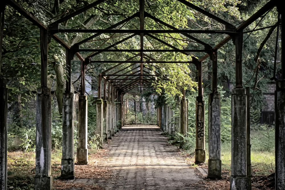 Beelitz Heilstätten 6 - Parkanlage