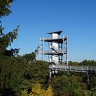 Beelitz-Heilstätten Baumkronenpfad