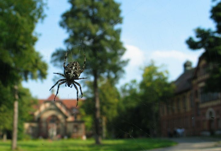 Beelitz Heilstaetten umzäunt