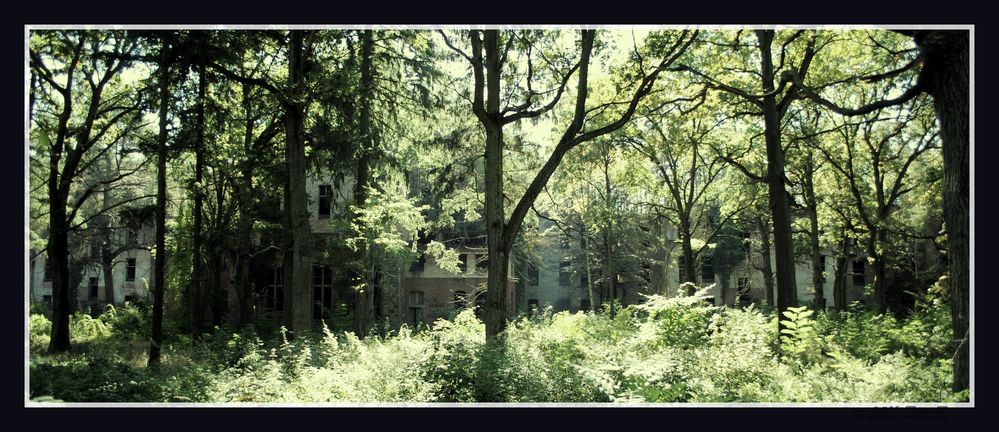 Beelitz Heilstätten VI