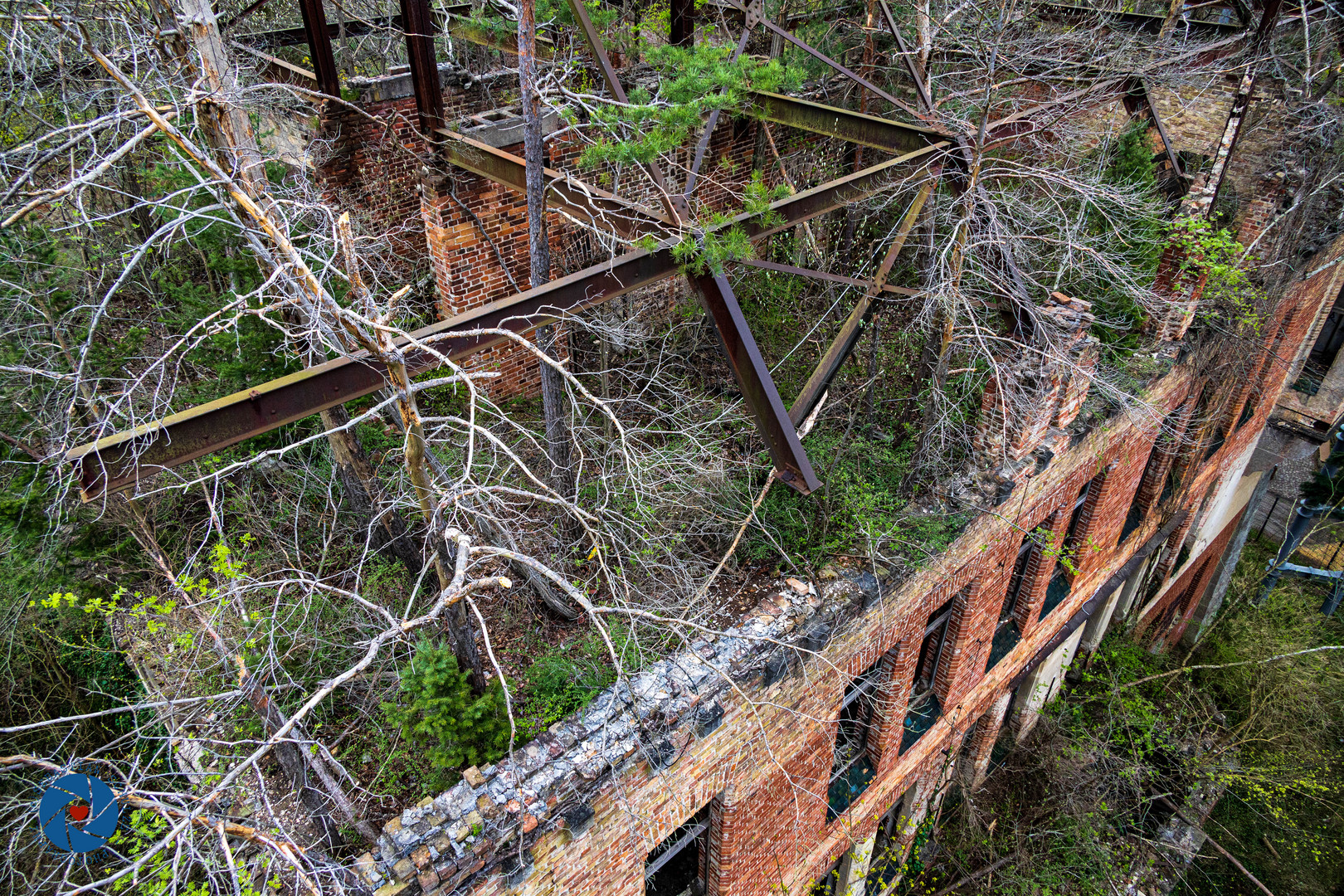 Beelitz Heilstätten vom Baumwipfelpfad