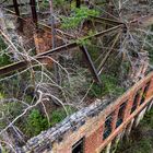 Beelitz Heilstätten vom Baumwipfelpfad