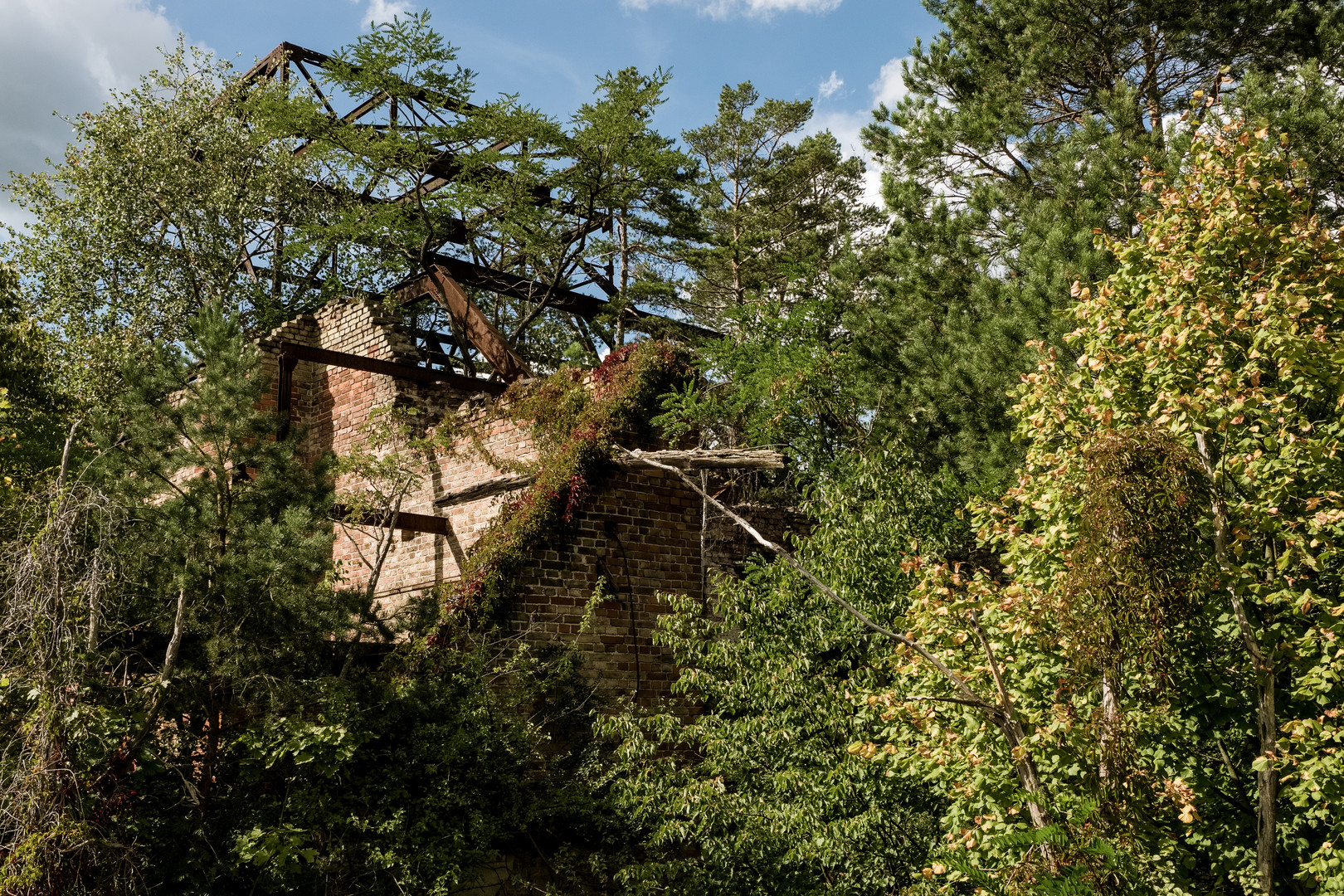 Beelitz Heilstätten zugewachsen