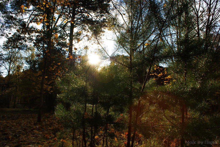 Beelitz im Herbst.