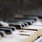 Beelitz Piano