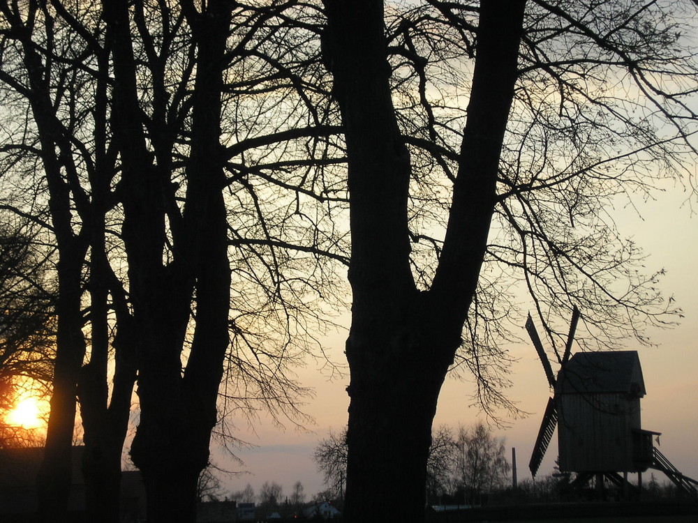 beelitzer bockwindmuehle im sonnenuntergang