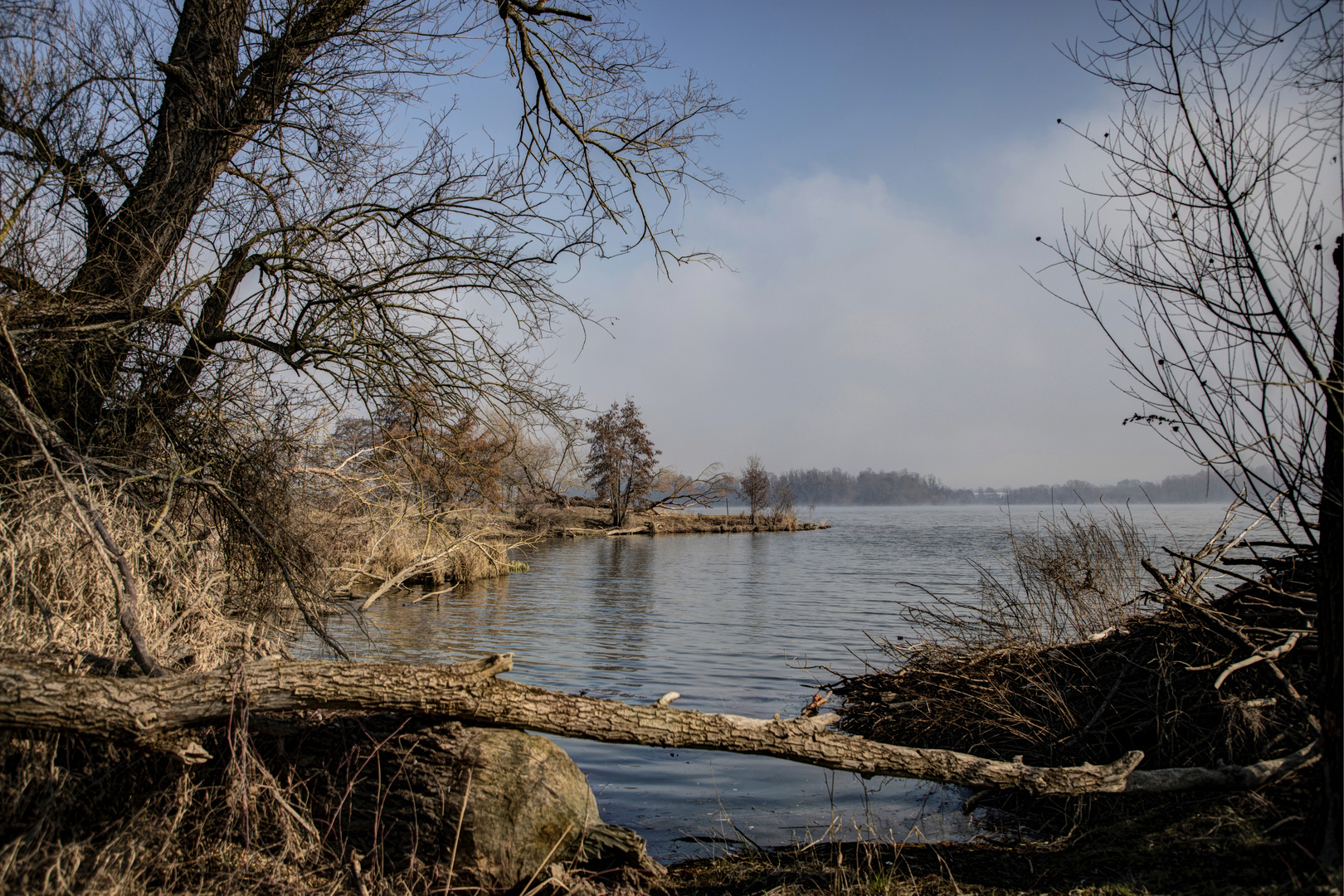 beemden in Vorjahr