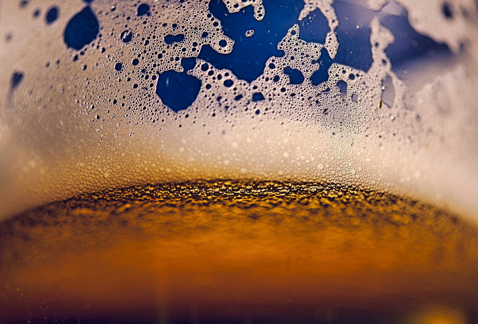 Beer in Macro