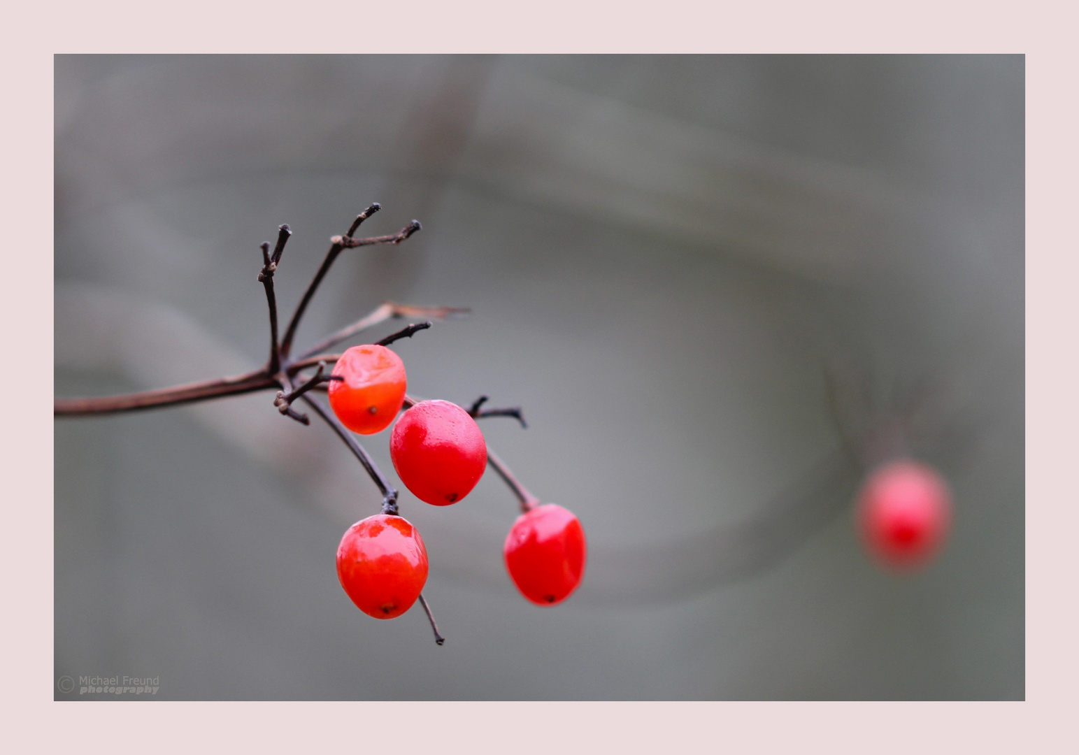 Beeren