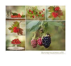 Beeren - Auslese....