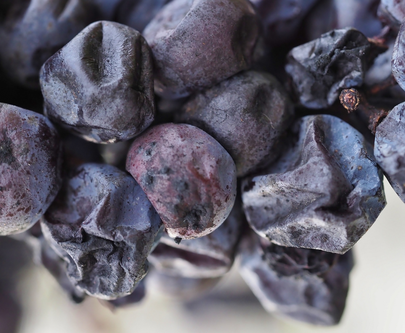 Beeren für Eiswein