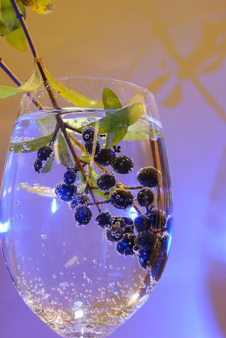 Beeren im Glas gefühlt mit Mineralwasser