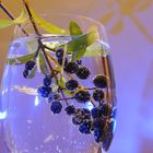 Beeren im Glas gefühlt mit Mineralwasser