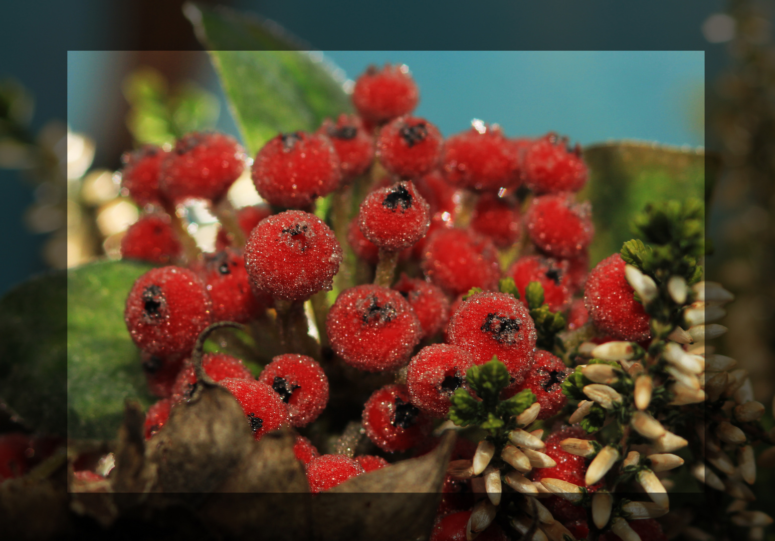 Beeren und Eis