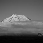 Beerenberg Jan Mayen