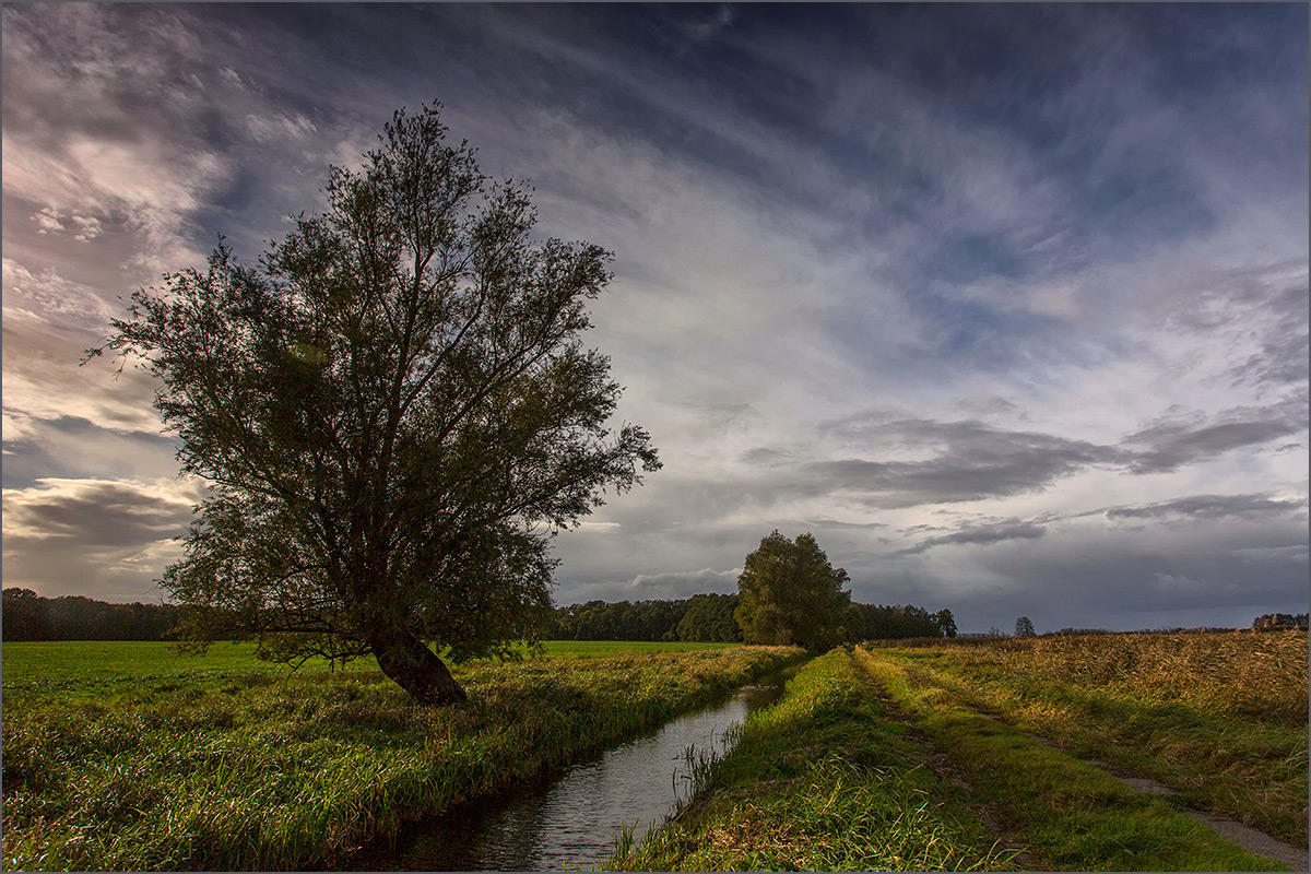 Beestland im Herbst