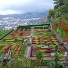 Beete im Botanischen Garten von Funchal