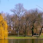 Beethovens Park, in der Nähe von Budapest. Ungarn