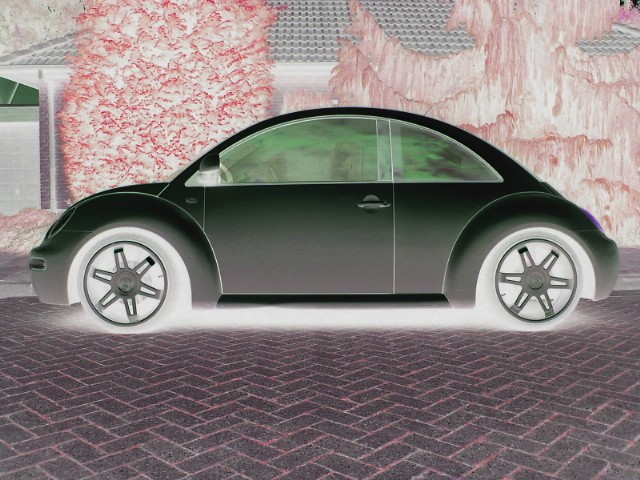 BEETLE