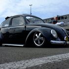 Beetle