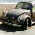 Beetle