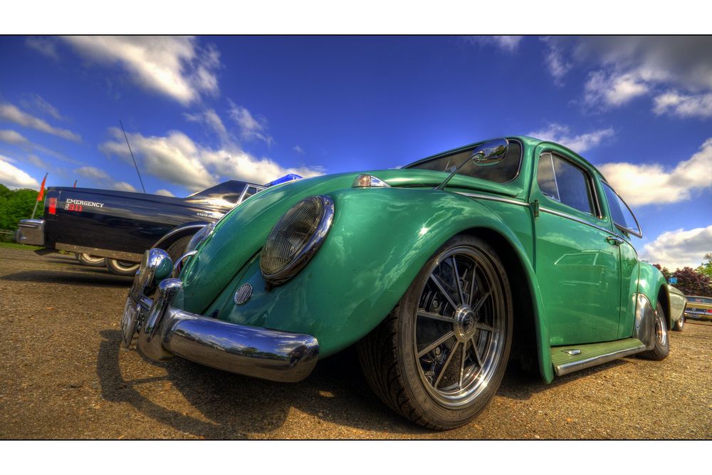 Beetle