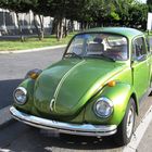 Beetle, cool 'n hippy!