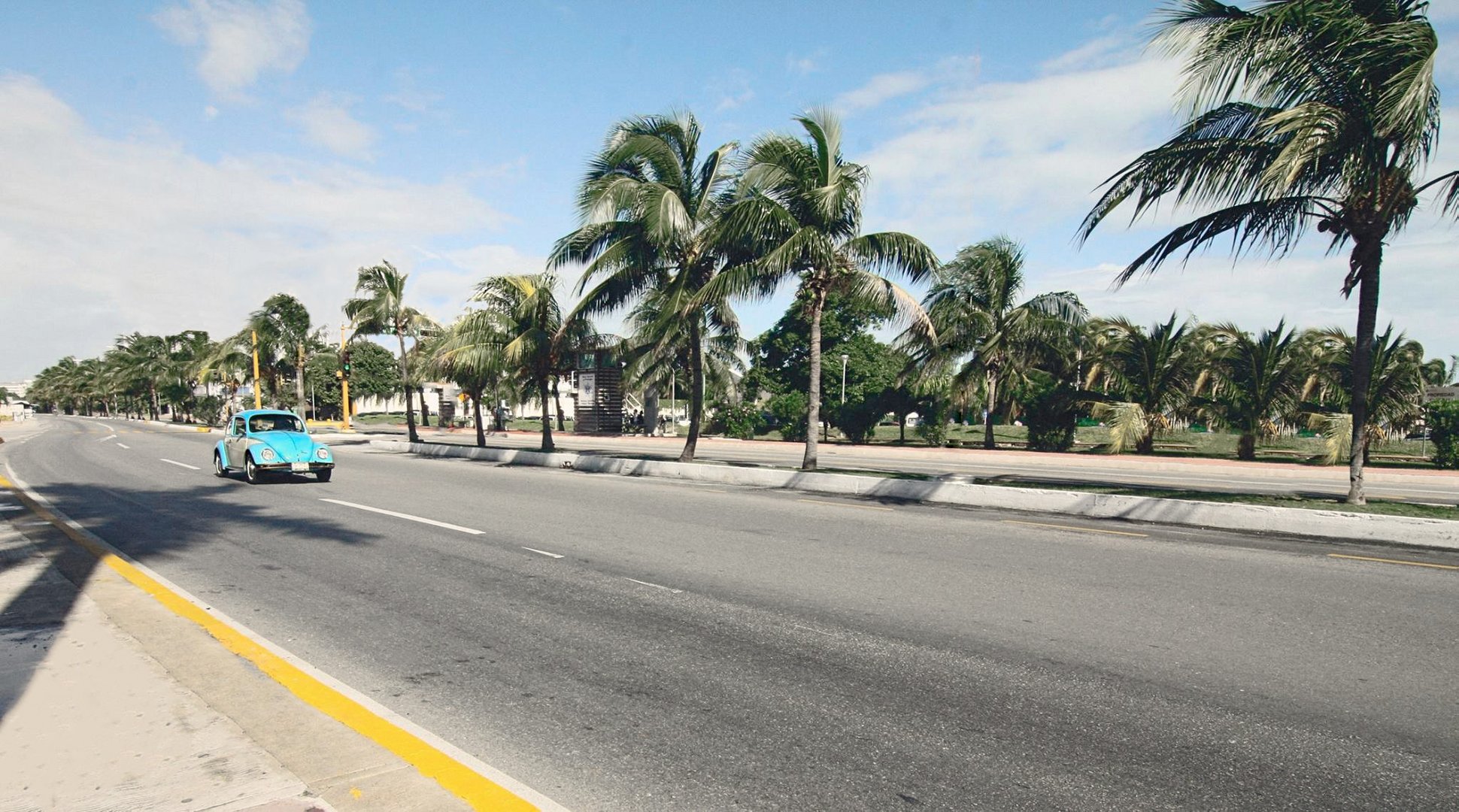 Beetle on street / Cancun, Mexico