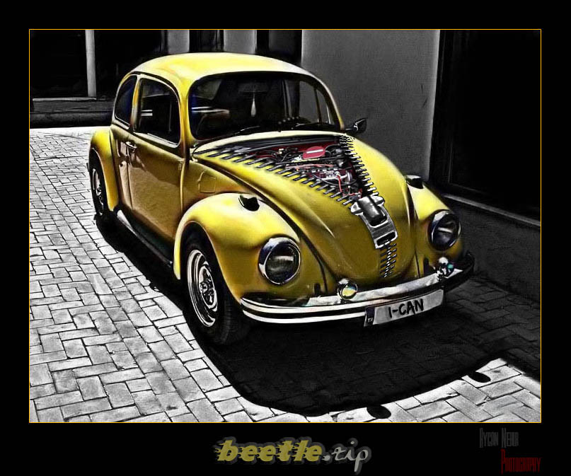 Beetle.zip