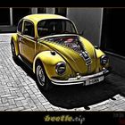 Beetle.zip