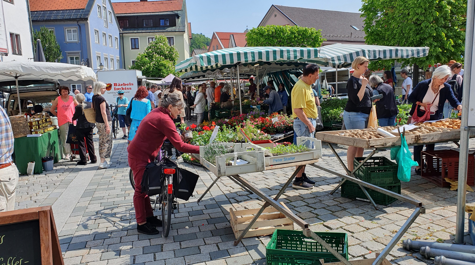 Beetown: Saturday Vegetable Party