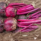 Beetroot