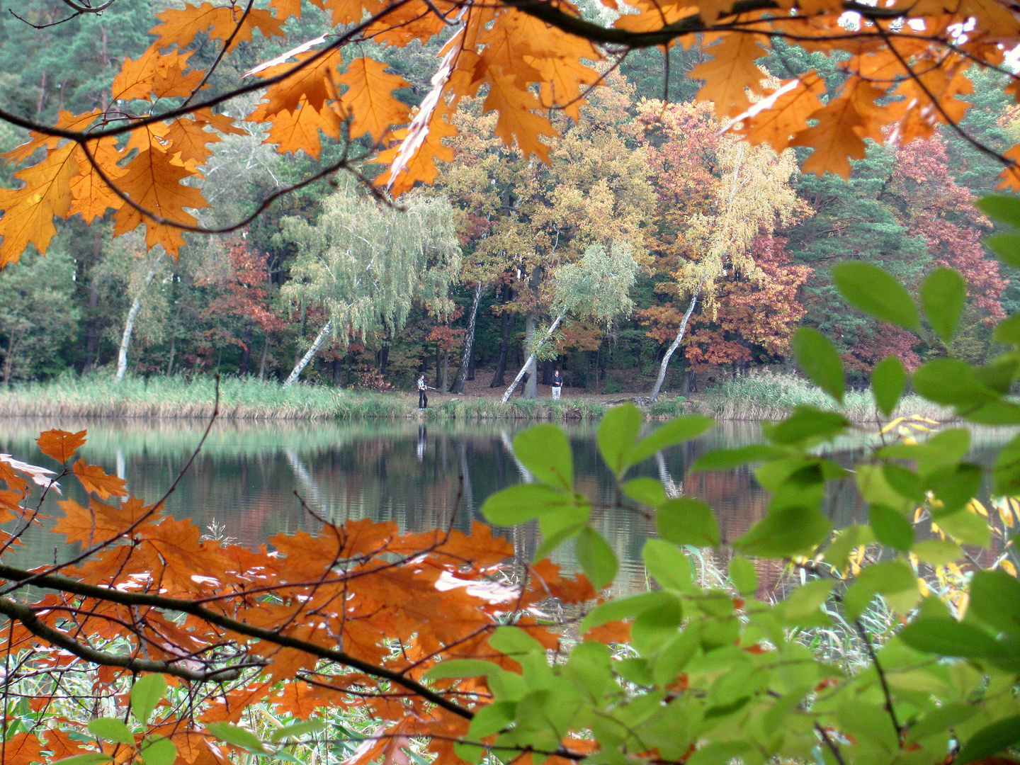 Beetzer See im Herbst