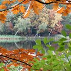 Beetzer See im Herbst