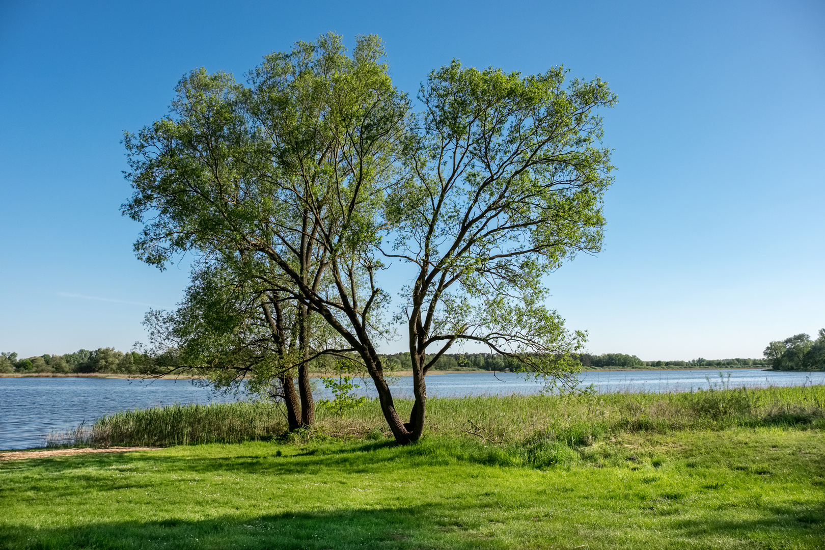 Beetzsee