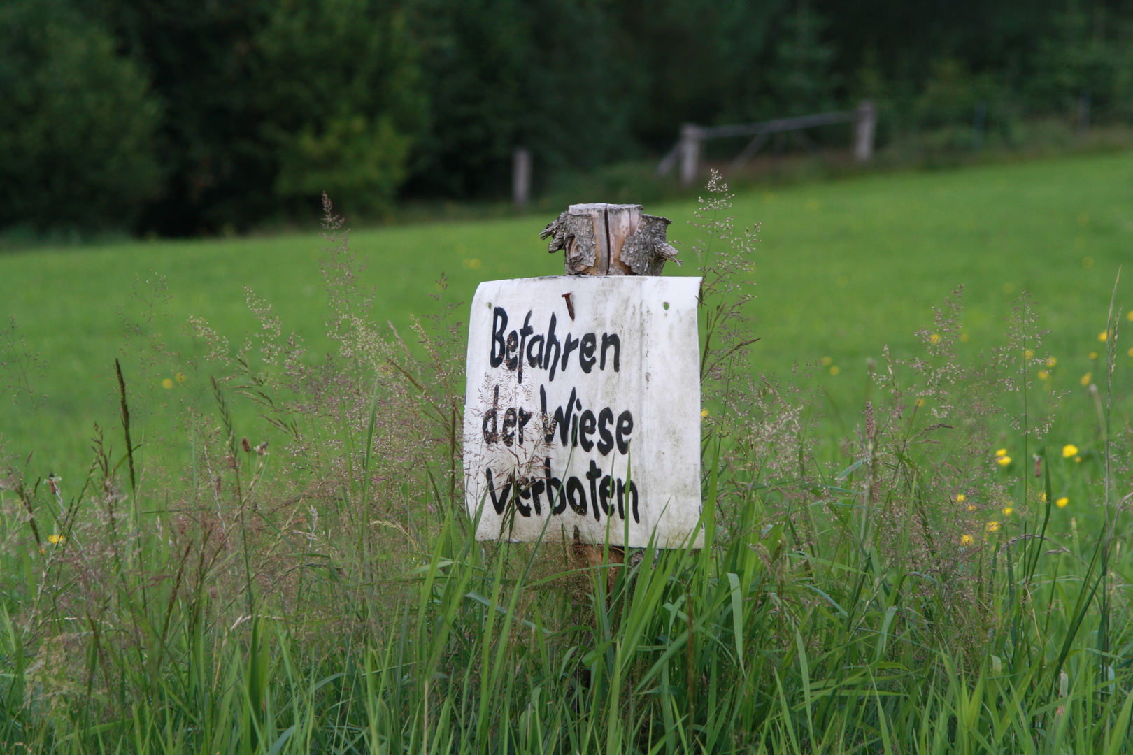 Befahren der Wiese verboten