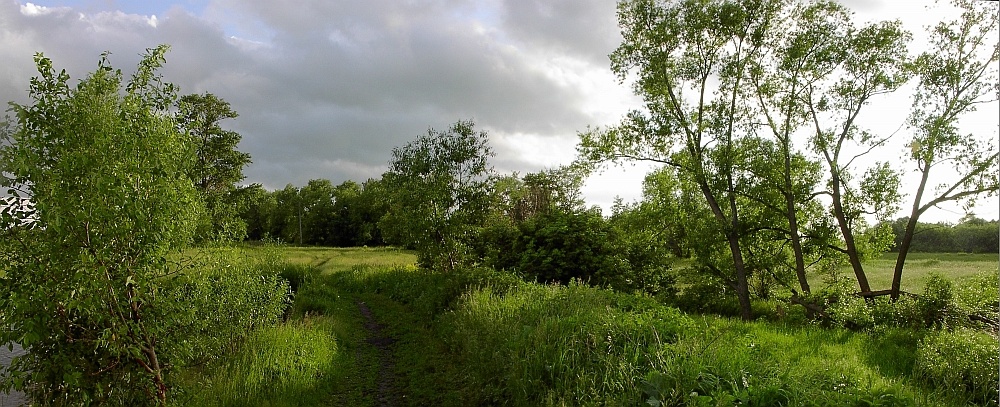 Before a thunder-storm