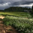 Before storm landscape